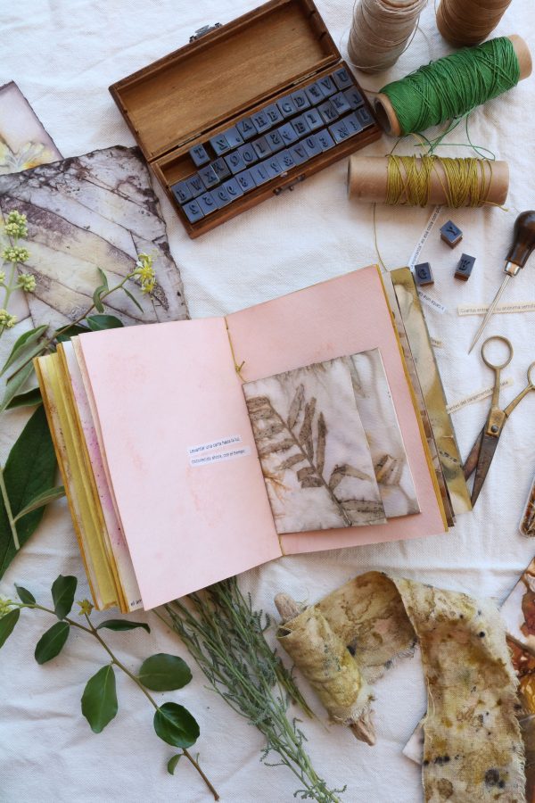 Taller Libro Botánico de otoño - Imagen 3