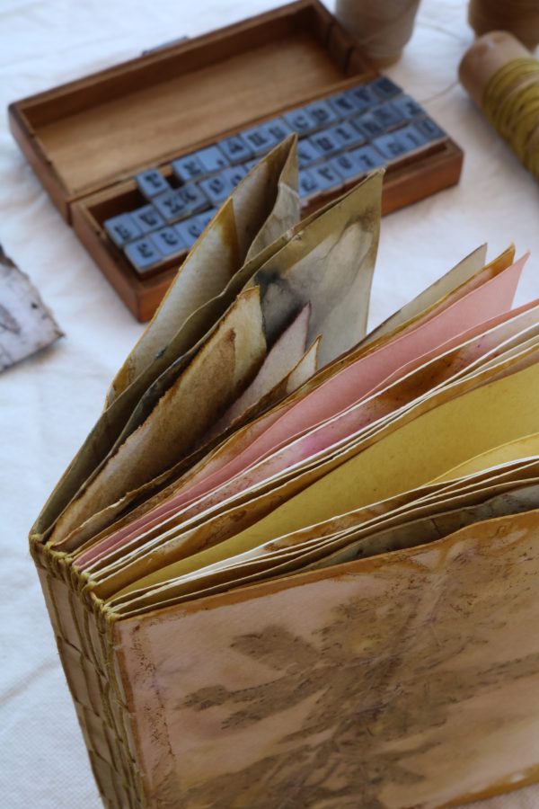 Taller Libro Botánico de otoño - Imagen 6