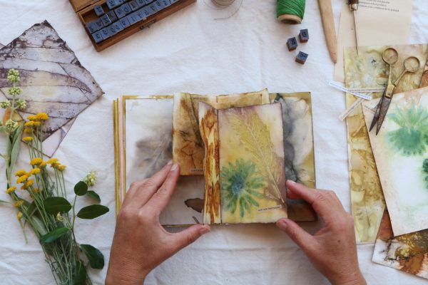 Taller Libro Botánico de otoño - Imagen 5