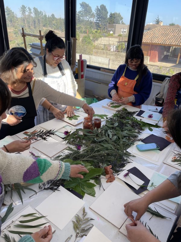 Taller Libro Botánico de otoño - Imagen 15