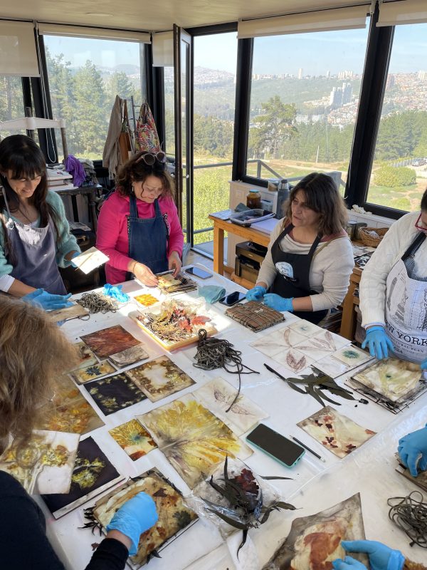 Taller Libro Botánico de otoño - Imagen 13